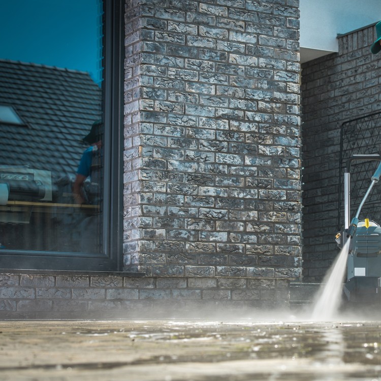 Waste Removal in City, ST